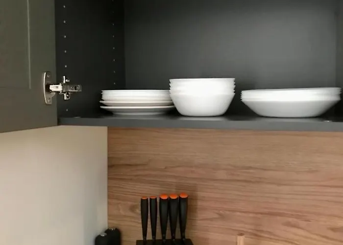 Apartament Debowy
