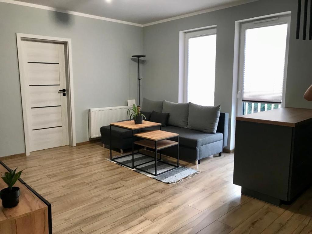 Debowy Apartment